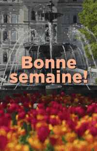 Quebec Qc GIF by Assemblée nationale du Québec