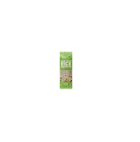 lotusfoods vegan noodles rice glutenfree Sticker