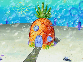 season 4 GIF by SpongeBob SquarePants