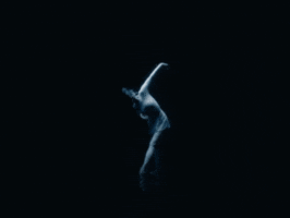 Dancer Ballet GIF by thuy