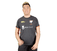 Cs Vp Sticker by Virtus.pro