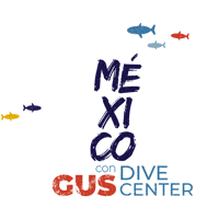Gusdivecenter mexico scuba gusdivecenter scubamexico GIF