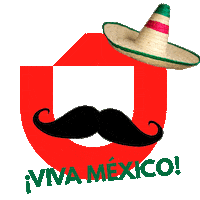Viva Mexico Septiembre Sticker by Be Jinzai