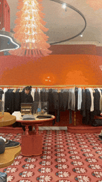 GIF by Ecossistema Goakira