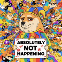 Shiba Inu No GIF by Doge Pound