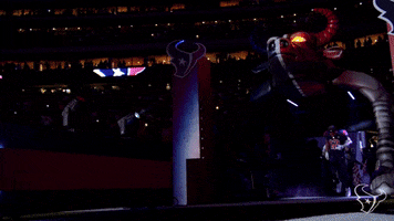 National Football League GIF by Houston Texans