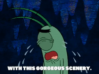 season 6 episode 25 GIF by SpongeBob SquarePants