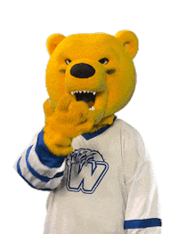 Tired Bear Sticker by Western New England University