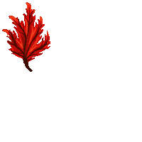 Art Text Sticker by daisy maize