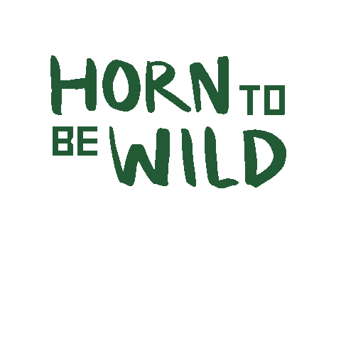 horntobewildfestival giphyupload festival bremen horn Sticker