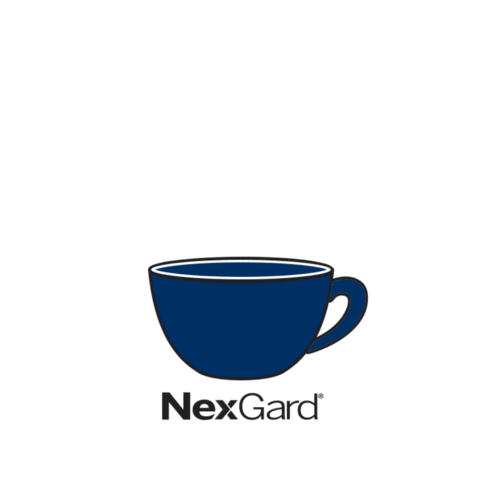 visabr giphyupload dog coffee dogs Sticker