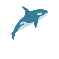 miraibay dolphin delfino Sticker