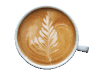 Coffee Caffeine Sticker by Take Roots Consulting