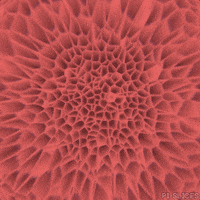 trippy GIF by Pi-Slices