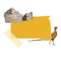 States Reaction Sticker by Crooked Media