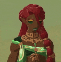The Legend Of Zelda GIF