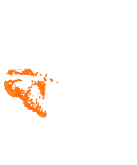 Working Out Sticker by Inno Supps