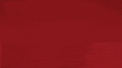Fc Bayern Smiling GIF by Bundesliga