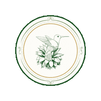 Flower Bird Sticker by Santa Sabia Media