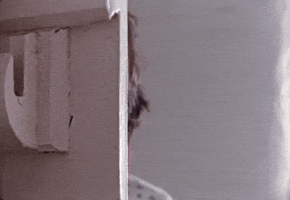 Spying 