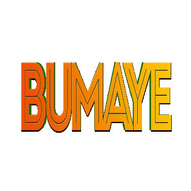 Afrobeats Sticker by Bumaye