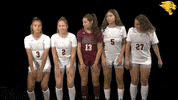 D3Soc Cuc19 GIF by CUCougars