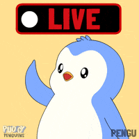 Recording On Air GIF by Pudgy Penguins