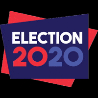 LasellVotes vote election voted voters GIF