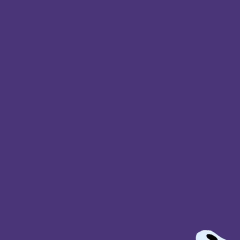 GIF by Uro Recc
