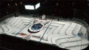 hockey GIF by Digg