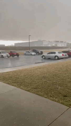 Hail Descends on Northwest Alabama Amid Weather Warnings