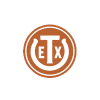 Ut Alumni Dallas Sticker by Texas Exes