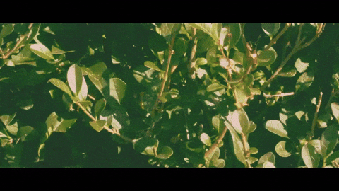 I Am Here Dance GIF by Topshelf Records