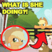 What Is She Doing My Little Pony GIF