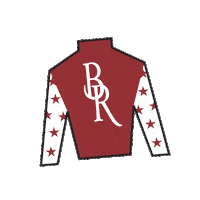 Horse Racing Sticker by Kentucky Derby