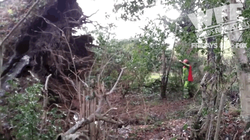 world's fails GIF by World’s Funniest
