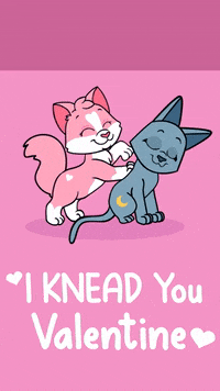 Valentines Day Love GIF by The High Meows