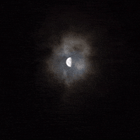 Light Of The World GIF