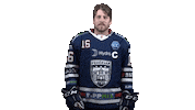 Ice Hockey Sticker by Fehervar AV19