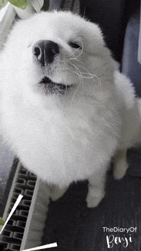 Friends Love GIF