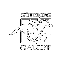 Horses Jockey Sticker by Svensk Galopp