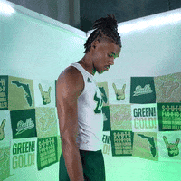 South Florida Horns Up GIF by USF Athletics