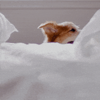 GIF by Fuse Service