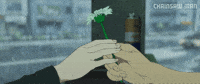 Flower Romance GIF by Sony Pictures