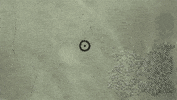 animation hex GIF by Digg