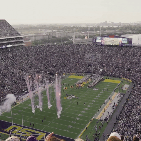 Lsu Football Lsufb19 GIF by LSU Tigers