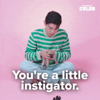 Eric Nam Puppies GIF by BuzzFeed