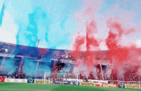 gg_Lukitazzz futbol paraguay ccp hinchada GIF