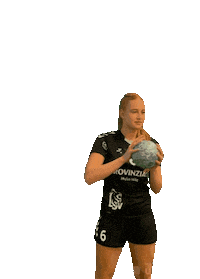 Lsv Sticker by Luener SV Handball