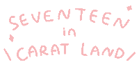 세븐틴 Carat Sticker